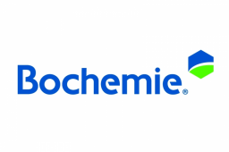 Bochemie